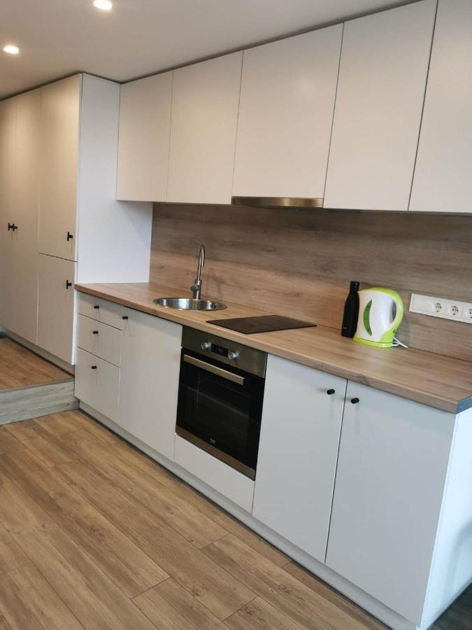 Lofto Tipo 2 Kambariu Butas Apartment Каунас Екстериор снимка